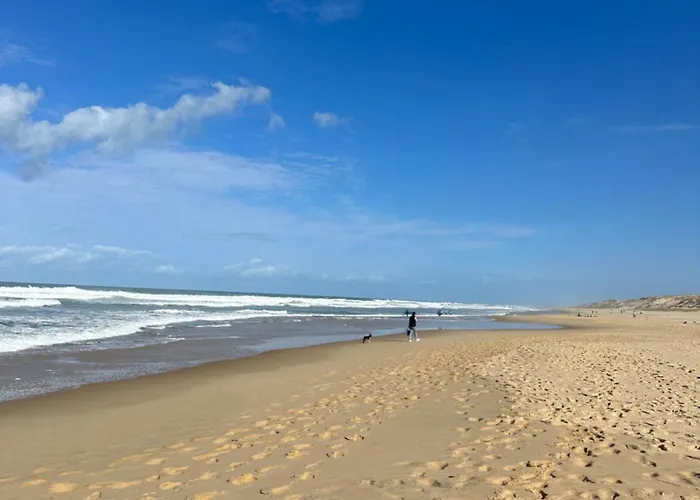 Maison De Au Centre Biscarrosse