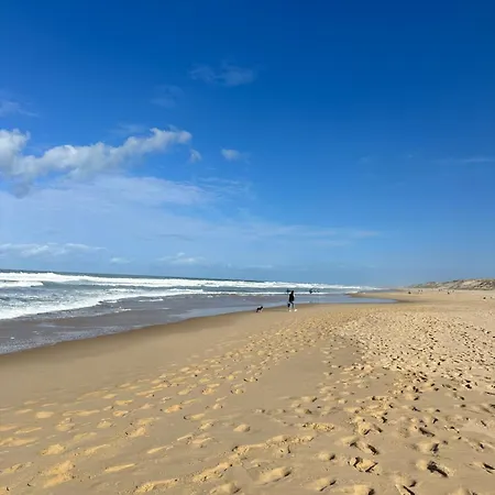 Maison De Au Centre Biscarrosse